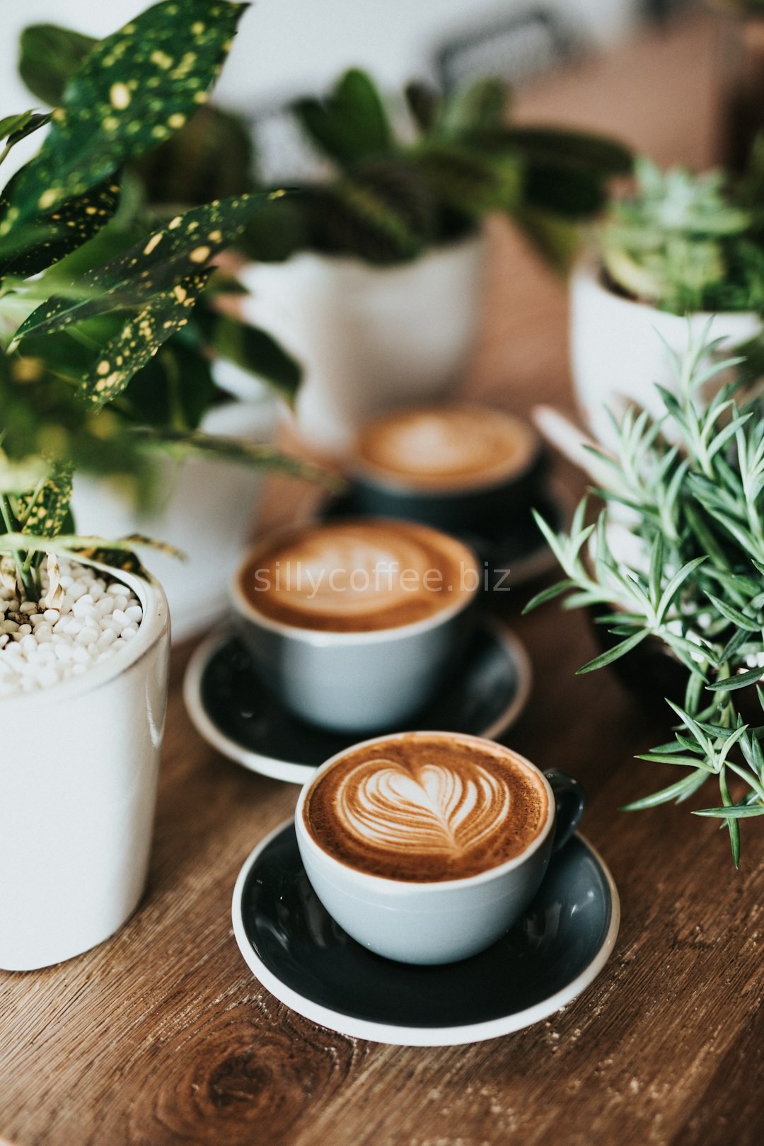 Artisan Brew