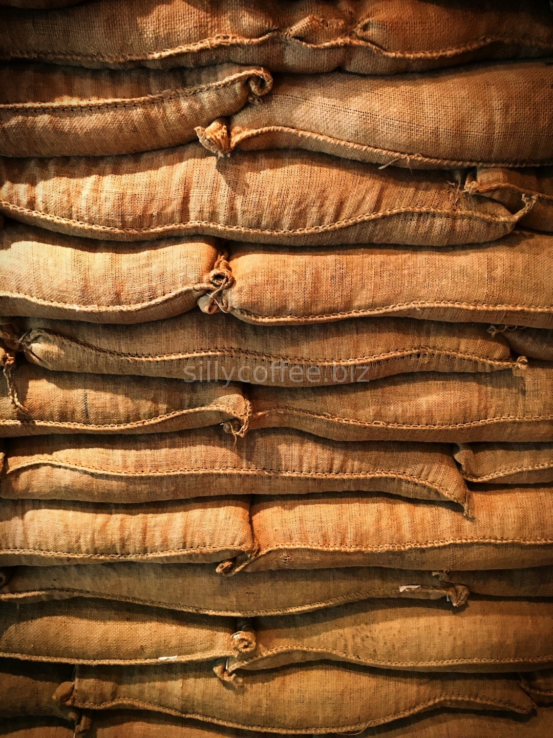 Freshly roasted coffee