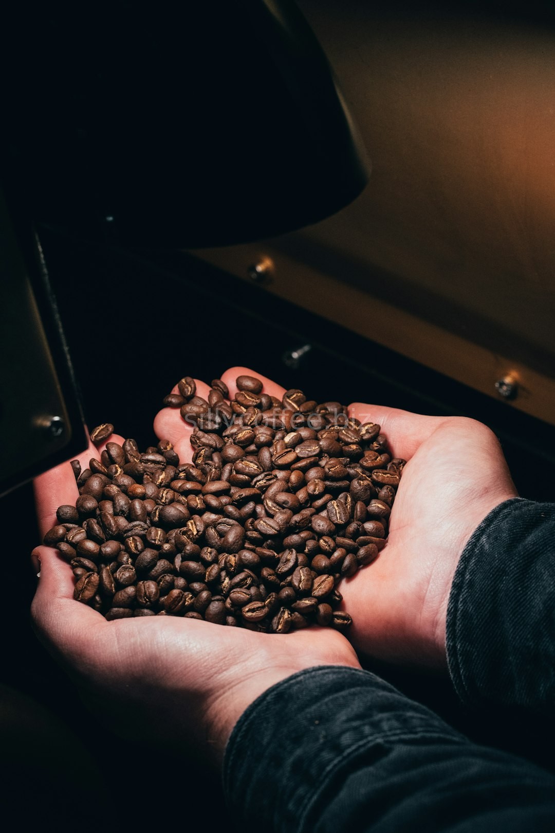 Single Origin